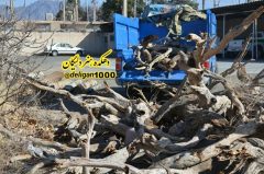 کشف ۳۰ تُن چوب قاچاق در” برخوار “