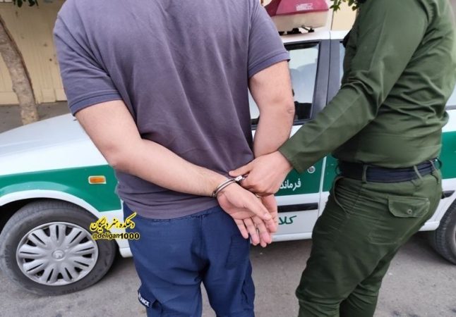 کشف اموال مسروقه ۵۰ میلیاردی از مخفیگاه متهمان کشف اموال مسروقه ۵۰ میلیاردی از مخفیگاه متهمان